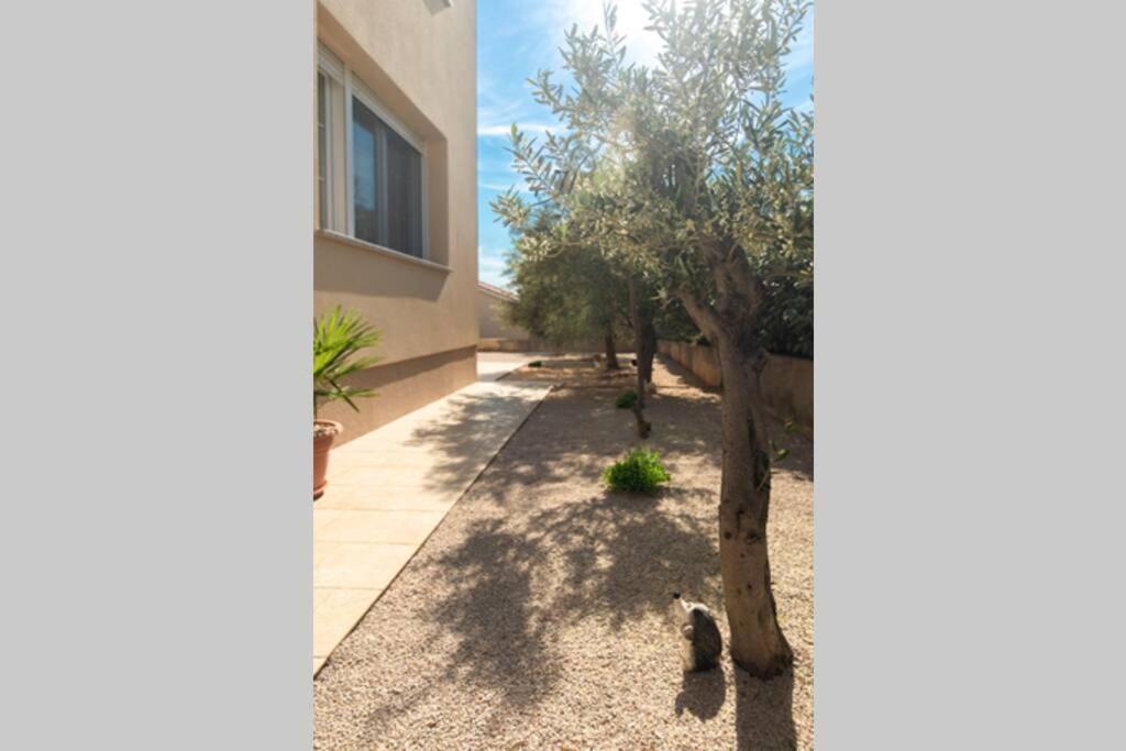 Apartment Natali Punat- Free Parking On Premises Esterno foto